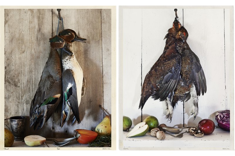 STILL LIFE