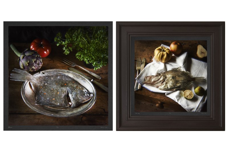 STILL LIFE
